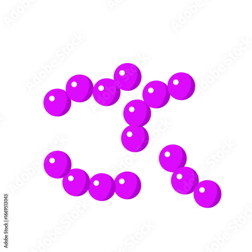 Streptococcus pneumoniae bacterial vector