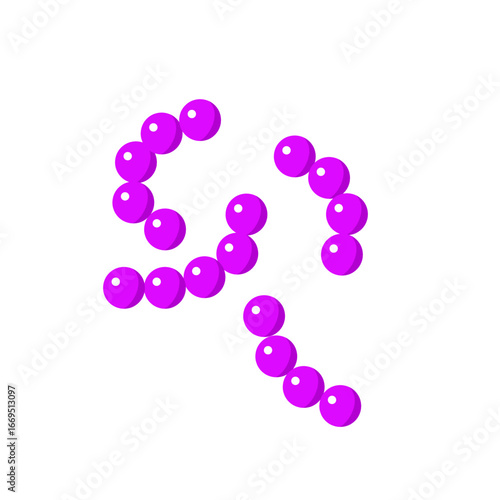 Streptococcus pneumoniae bacterial vector