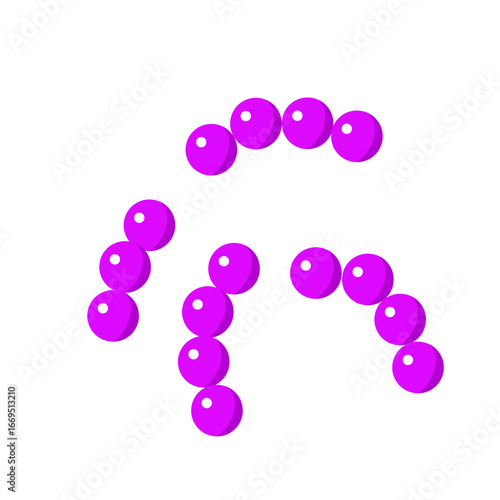 Streptococcus pneumoniae bacterial vector