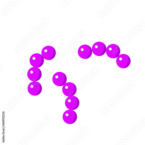 Streptococcus pneumoniae bacterial vector