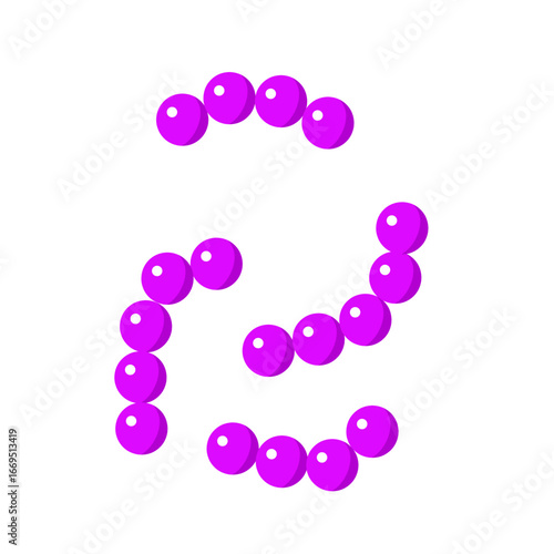Streptococcus pneumoniae bacterial vector