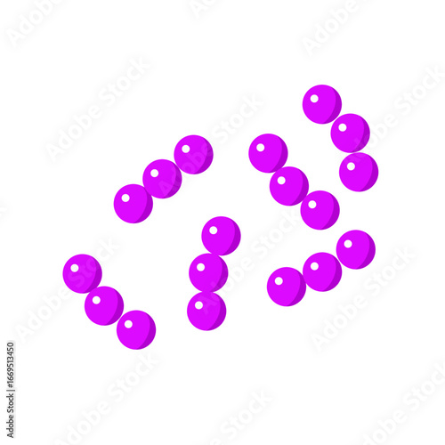 Streptococcus pneumoniae bacterial vector