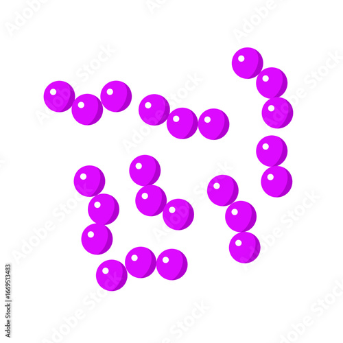 Streptococcus pneumoniae bacterial vector