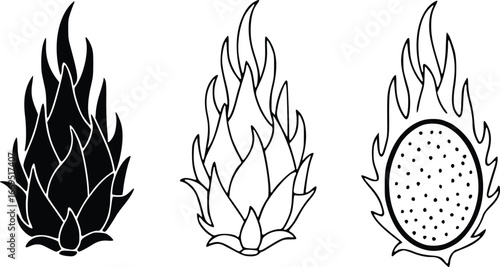 Three Dragon Fruit Illustrations Black Silhouette Line Art and Cross Section pitaya
