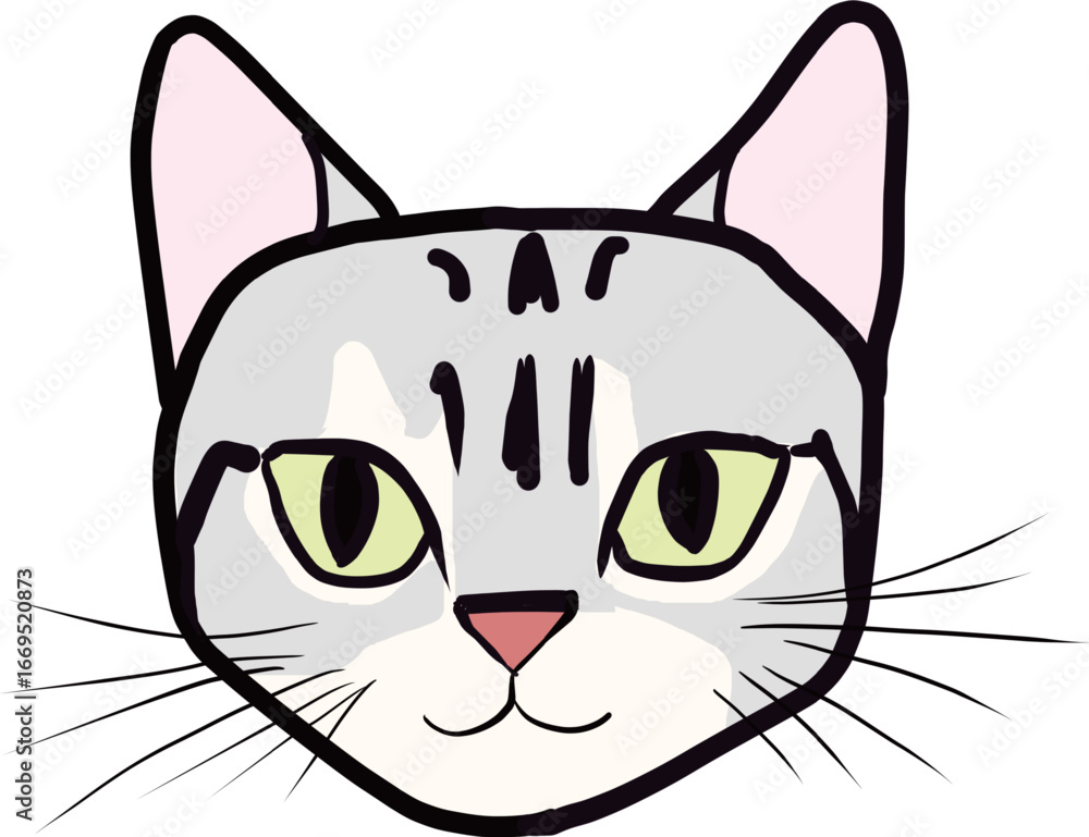 Obraz premium アメリカンショートヘアー