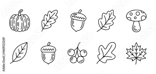 Autumn themed hand-drawn icons of pumpkin acorn leaves and mushroom fall season