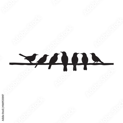 flock of birds perched on a wire on white background