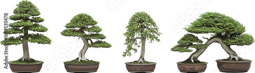 Realistic Bonsai Tree Vector Set – Various Artistic Styles of Miniature Potted Trees for Zen Garden, Landscaping, Nature Illustration, and Home Decor