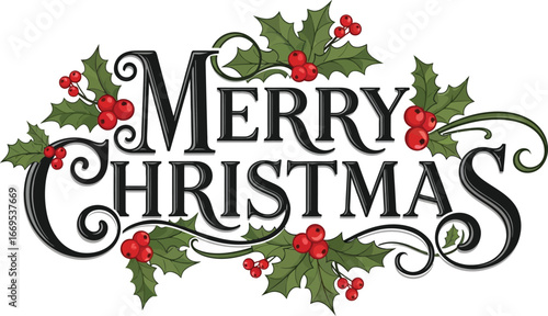 Merry Christmas greeting card vector with holly and berries .