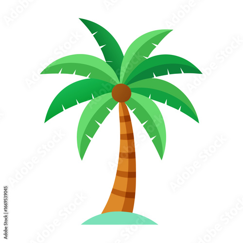 tropical palm tree