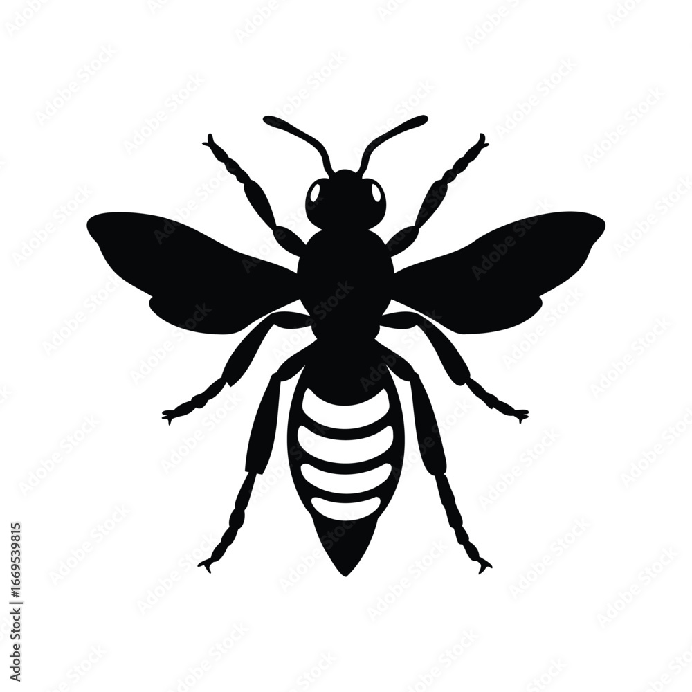 Fototapeta premium Striking silhouette of a bee or wasp with clear abdominal markings, insect bee silhouette vector illustration