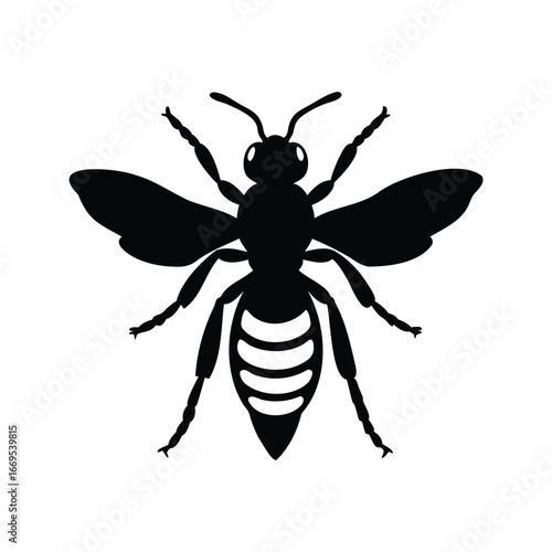 Striking silhouette of a bee or wasp with clear abdominal markings, insect bee silhouette vector illustration