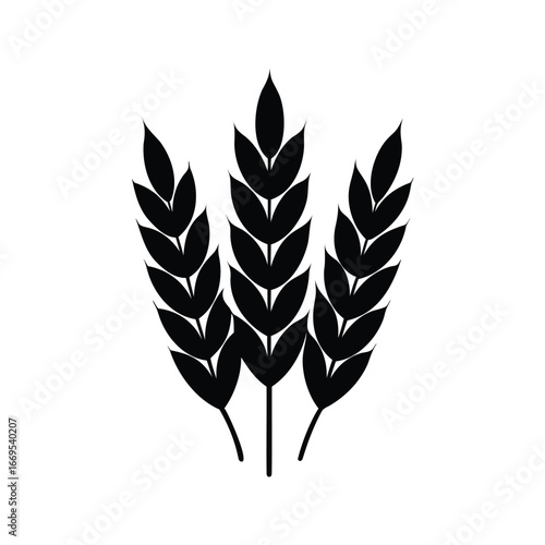 Stylized illustration of three wheat stalks in black and white vector art, wheat seeds silhouette vector illustration