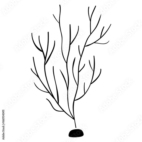 Coral vector icon. Seaweed illustration sign. Algae symbol or logo. seaware web icon.