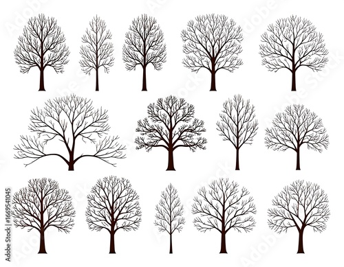 Silhouettes of bare winter trees (4)