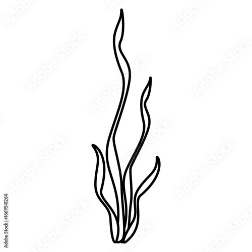 Coral vector icon. Seaweed illustration sign. Algae symbol or logo. seaware web icon.