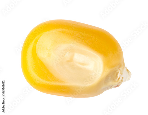 Isolated High-Resolution Macro of a Single Corn Kernel
