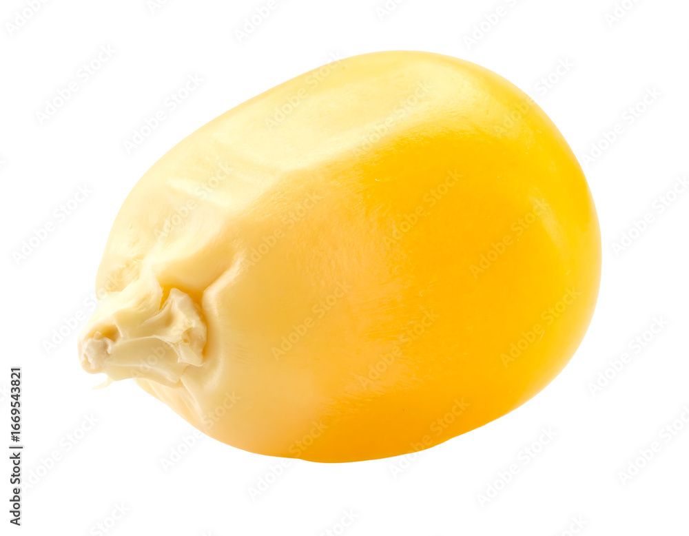 Fototapeta premium Single Corn Kernel Isolated on White Background