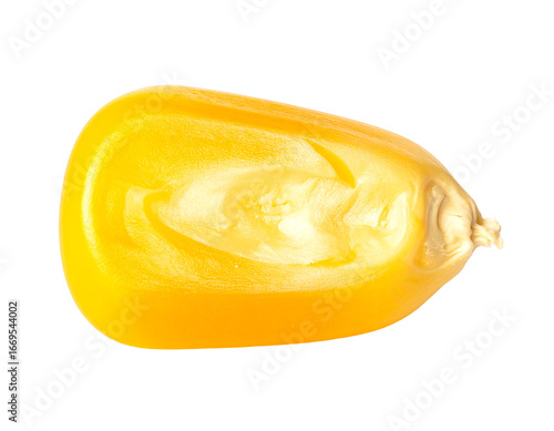 Isolated High-Resolution Corn Kernel Photography