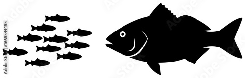 Fish swimming in sea and jumping out of water with other fish hiding behind coral