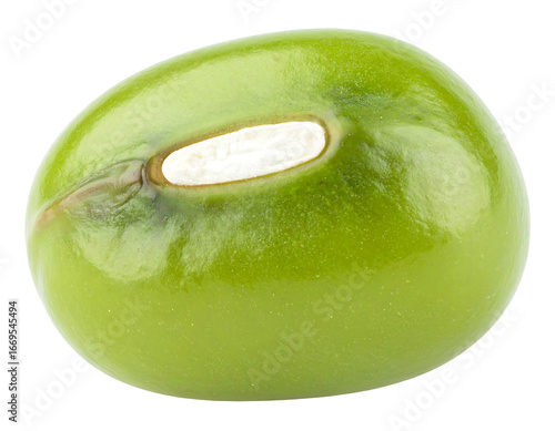 Isolated Single Mung Bean on Clean White Background