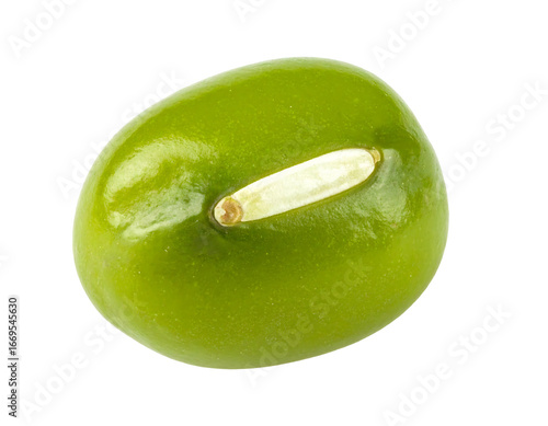 Isolated High-Resolution Mung Bean on Clean White Background