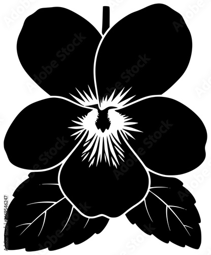 Violet flower in a field with purple petals and green leaves surrounding it naturally outside always
