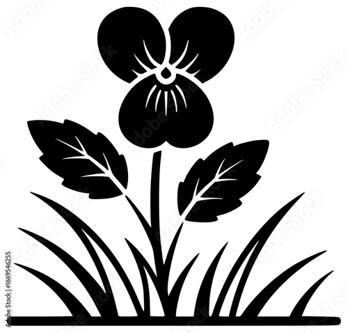 Violet flower in a field with purple petals and green leaves surrounding it naturally outside always
