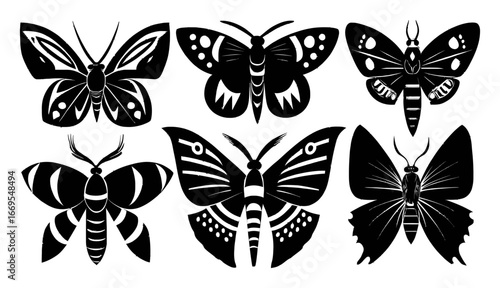 Hand Drawn Black and White Butterfly and Moth Illustrations