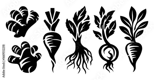 Black and White Illustrations of Root Vegetables and Leaves Designs