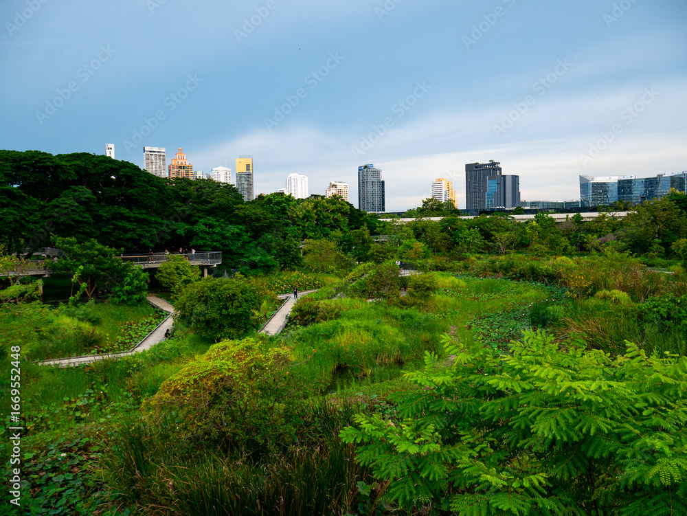 Obraz premium Bangkok, Thailand - August 03, 2025 : Urban Nature Scene at Benchakitti Forest Public Park with People in Bangkok.
