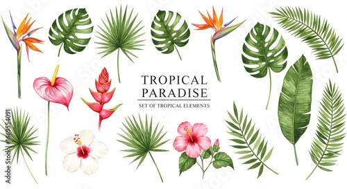 Watercolor floral illustration, a beautiful collection of tropical elements including bird of paradise, hibiscus, anthurium, and various palm and monstera leaves.
