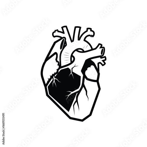 Detailed black and white anatomical illustration of a human heart, showing its internal structure.