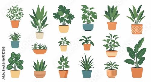 A collection of various illustrated indoor houseplants in different decorative pots, isolated on a white background.