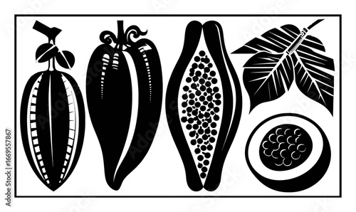 Hand-Drawn Cocoa Pods, Papaya Fruit, and Leaf Illustrations in Black