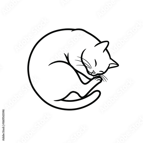 a sleeping cat curled up in a ball