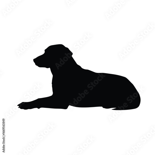 Black silhouette of a dog lying down on a white background