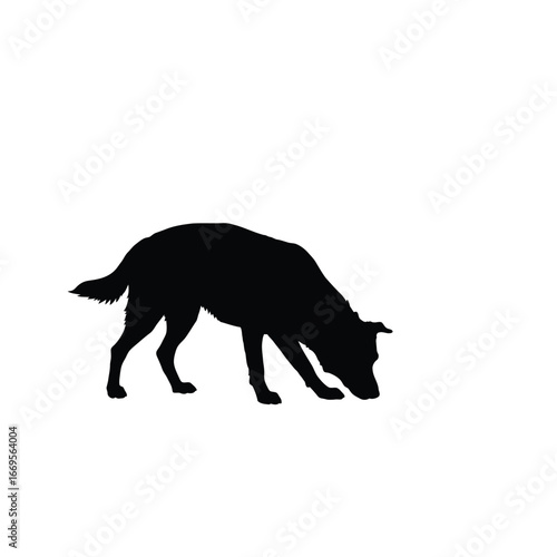 a black silhouette of a dog sniffing the ground on white background