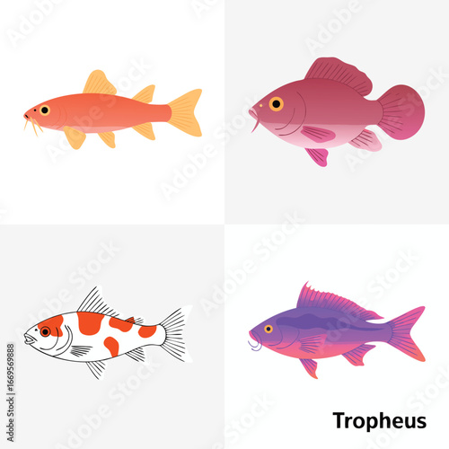 Four Colorful Illustrations of Different Fish Species Including Goldfish, Koi Carp, and Tropheus