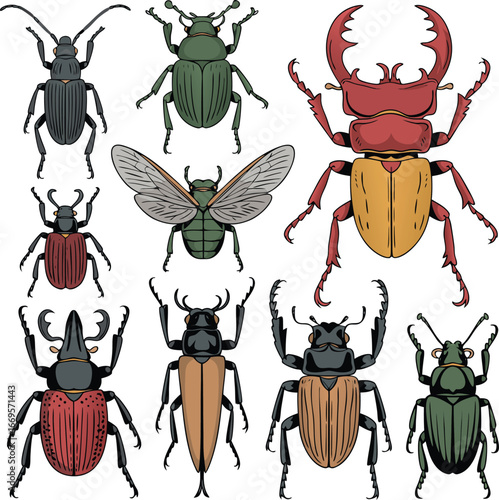 Illustration of Diverse Beetle Species Including Stag Beetles, Longhorns, and Leaf Beetles