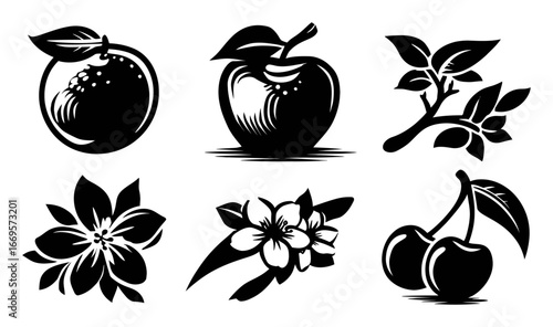 Black and White Illustrations of Fruits, Flowers, and Nature Elements