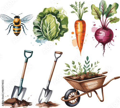 Watercolor Illustration of Garden Vegetables, Gardening Tools, Bee, and a Wheelbarrow with Plants