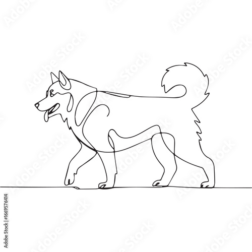 Continuous line of walking standing Alaskan Malamute .Single one line art of wild Alaskan Malamute , One continuous line illustration of an Alaskan Malamute isolated on white background.
