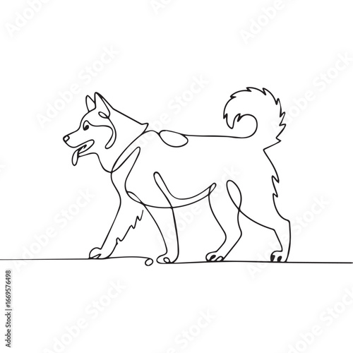 Continuous line of walking standing Alaskan Malamute .Single one line art of wild Alaskan Malamute , One continuous line illustration of an Alaskan Malamute isolated on white background.