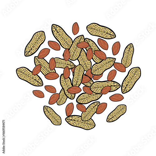 peanuts scattered on top vector illustration