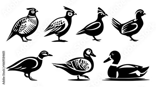 Seven Artistic Silhouettes of Different Bird Species in Black and White