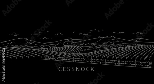 Cessnock Vineyard Line Art Australia.