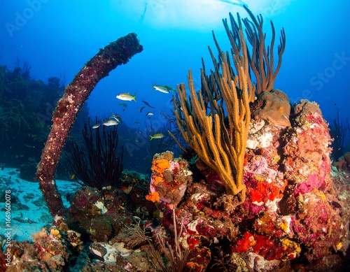 Underwater coral reef teeming with fish (1)