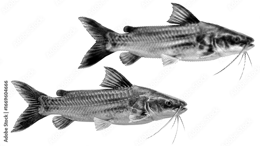 Obraz premium Fish halftone on transparent PNG. Ideal for overlays, posters, and designs. High-res, AI-based with human edited effects. Old vintage Trendy dotted pop art style.