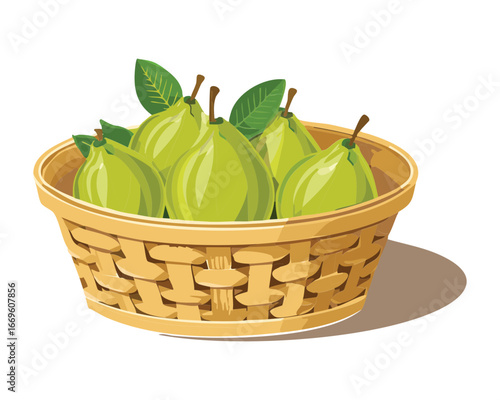A woven wicker basket full of fresh whole green guavas, a delicious tropical harvest - Vector Illustration
